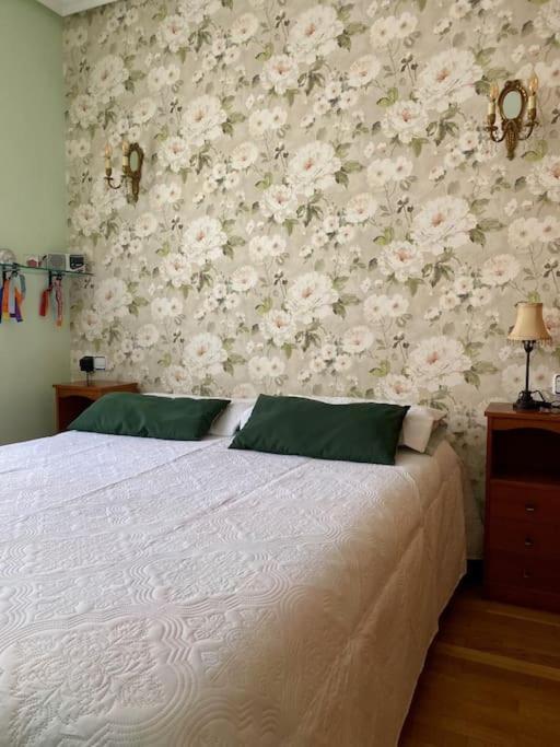 Acogedor Y Centrico Apartamento En Jaca - Wifi Dış mekan fotoğraf